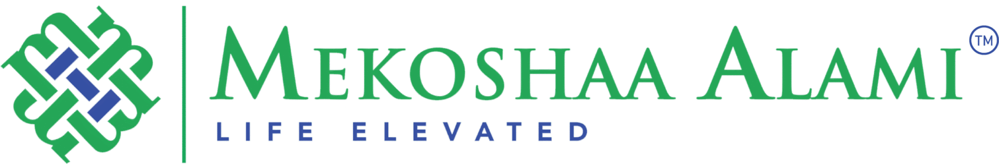 บริษัทประกันภัย MEKOSHAA พันธมิตร