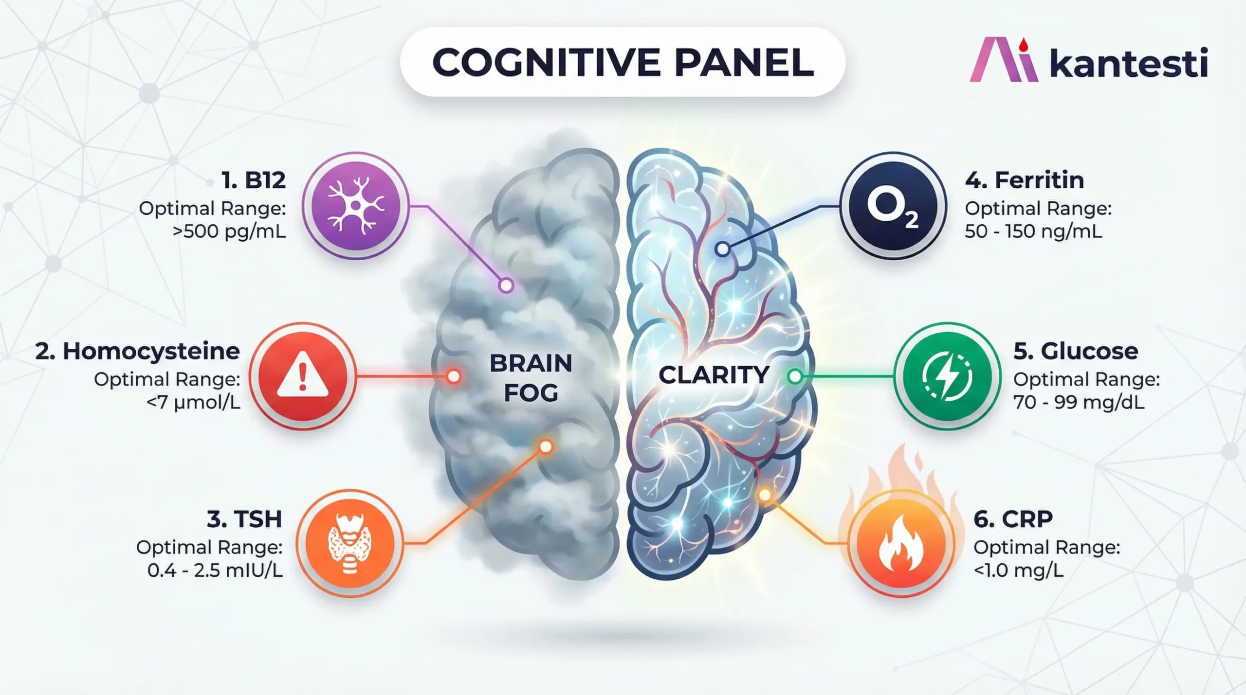 Painel de exames de sangue para névoa mental mostrando os biomarcadores B12, Homocisteína, TSH, Ferritina, Glicose e PCR, que afetam a função cognitiva e a clareza mental.