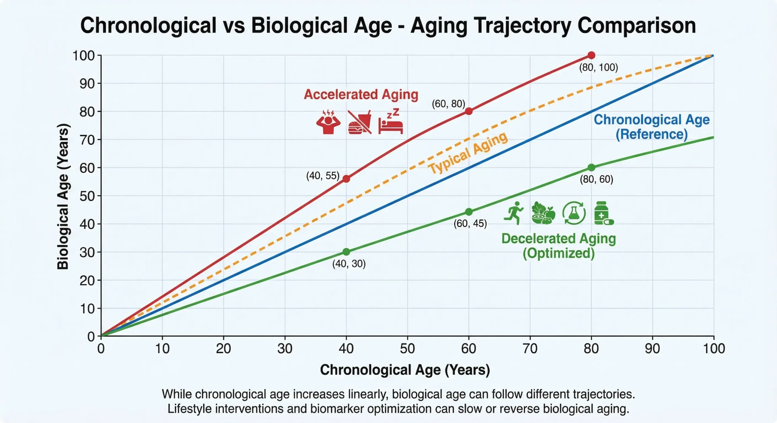Grafîk rêyên pîrbûnê nîşan dide ku tê de temenê kronolojîk bi awayekî xêzikî zêde dibe dema ku temenê biyolojîkî dikare li gorî faktorên şêwaza jiyanê û optimîzasyona nîşankerên biyolojîk bileztir an hêdîtir bibe.