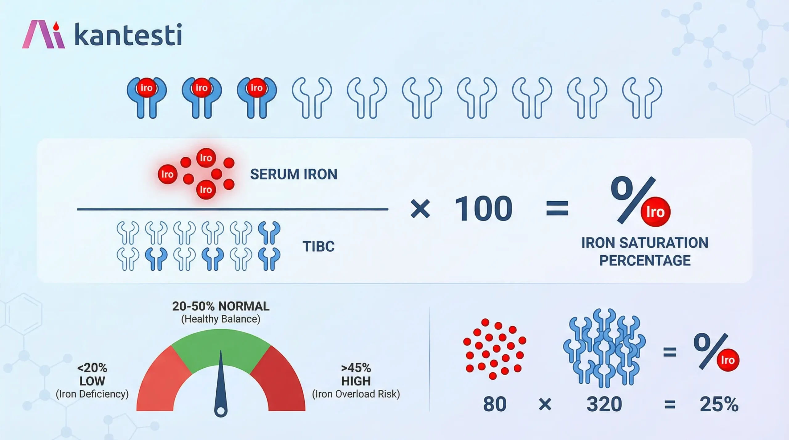Iron saturation calculation formula diagram showing serum iron divided by TIBC multiplied by 100 to determine transferrin saturation percentage