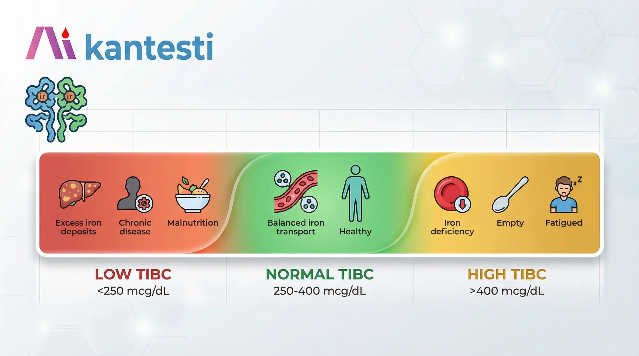 TIBC total iron binding capacity normal range chart showing low, normal, and high levels with clinical interpretations for iron deficiency and iron overload conditions