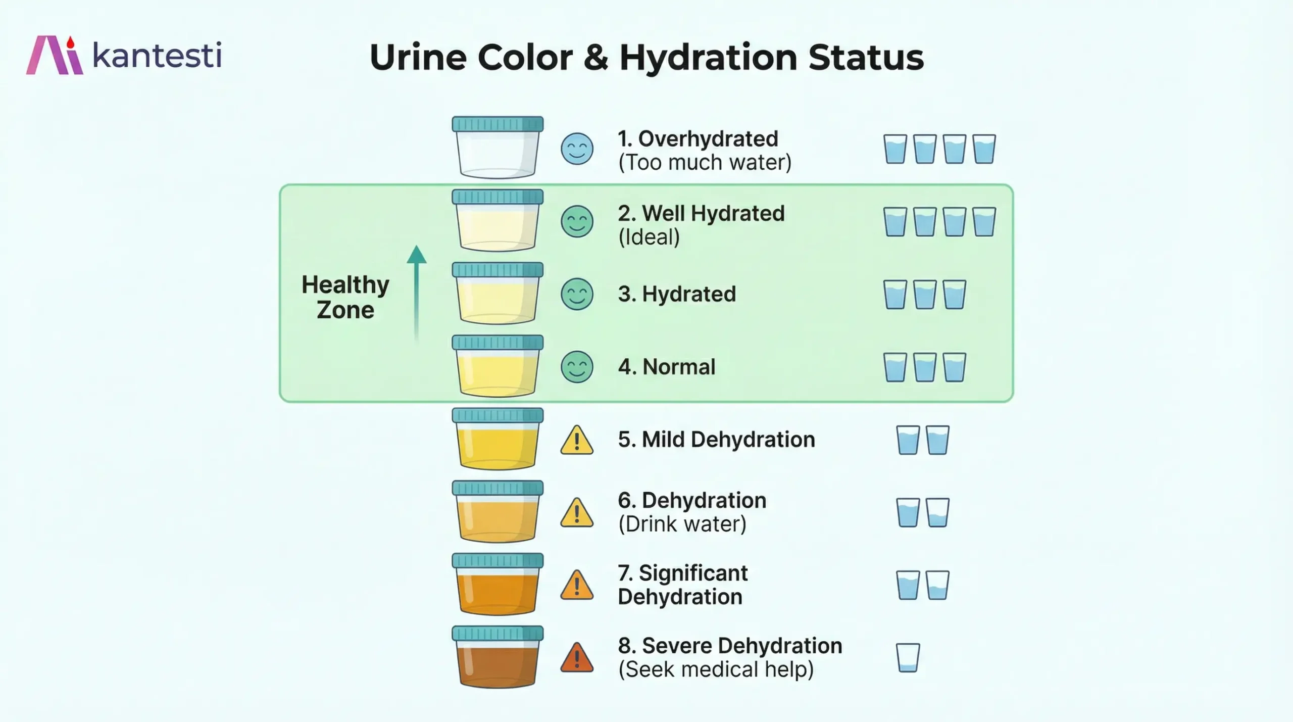 Χρωματικός πίνακας ούρων που δείχνει την κατάσταση ενυδάτωσης από καλά ενυδατωμένο απαλό κίτρινο έως αφυδατωμένο σκούρο κεχριμπαρένιο με συστάσεις πρόσληψης υγρών