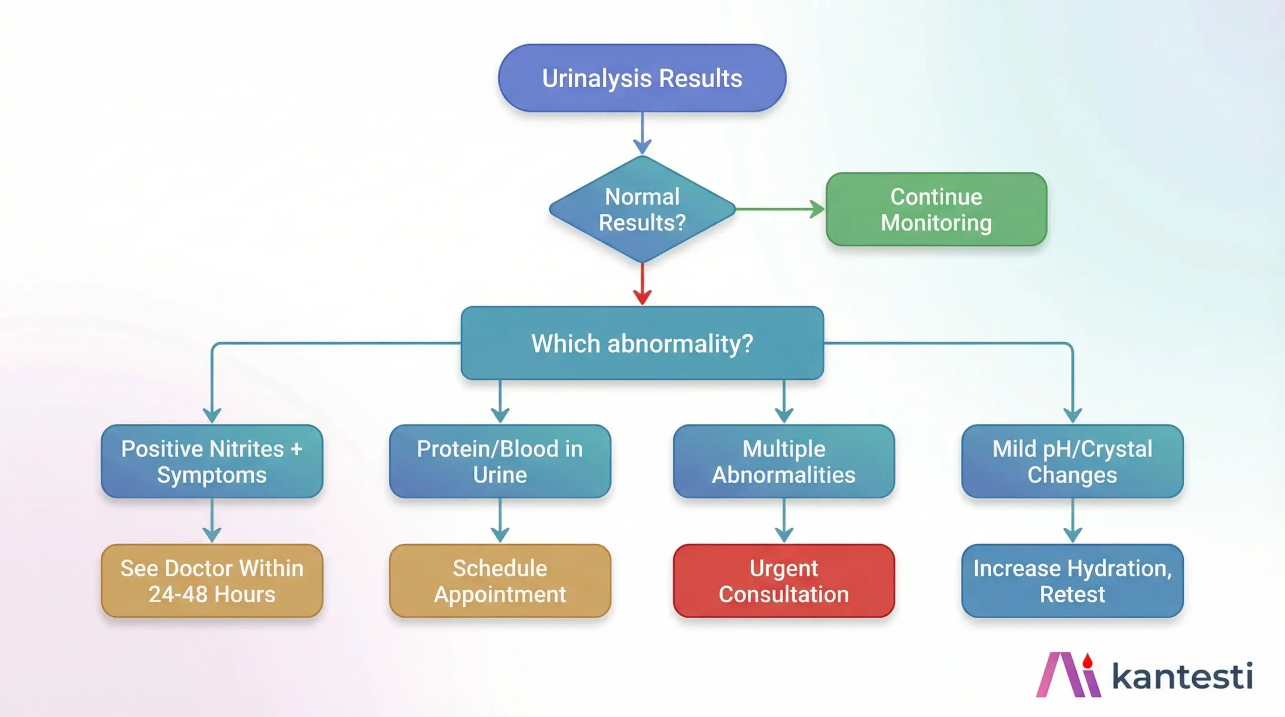 Διάγραμμα ροής ιατρικών αποφάσεων που δείχνει πότε πρέπει να αναζητήσετε ιατρική συμβουλή με βάση τα αποτελέσματα της ανάλυσης ούρων, συμπεριλαμβανομένων των θετικών νιτρωδών, πρωτεϊνών, αίματος και πολλαπλών ανωμαλιών.