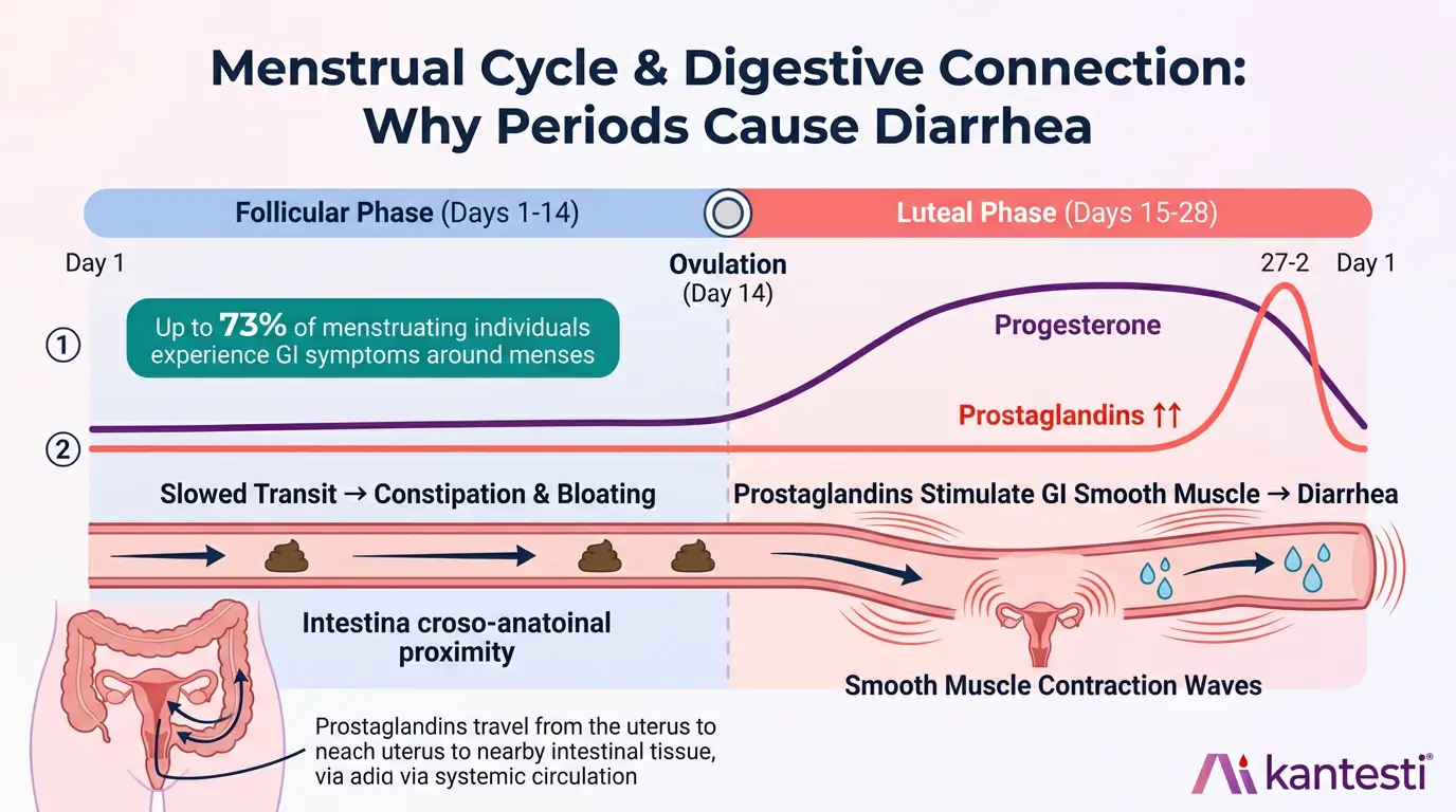 Diarrea dopo il digiuno, macchie nere nelle feci e guida gastrointestinale 2026 Diarrea dopo il digiuno, macchie nere nelle feci e guida gastrointestinale 2026